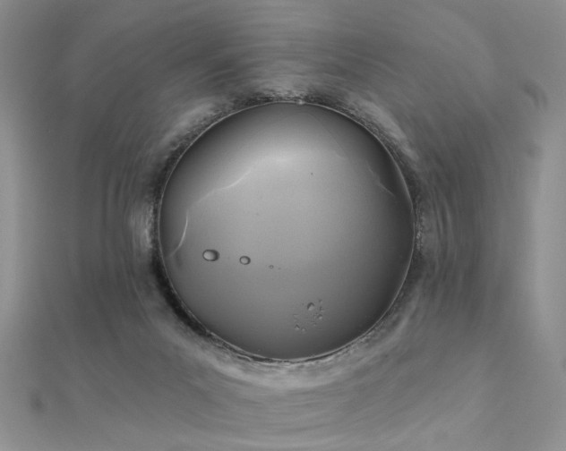 X0000112030023200908101349