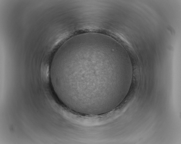 X0000112030024200908101349