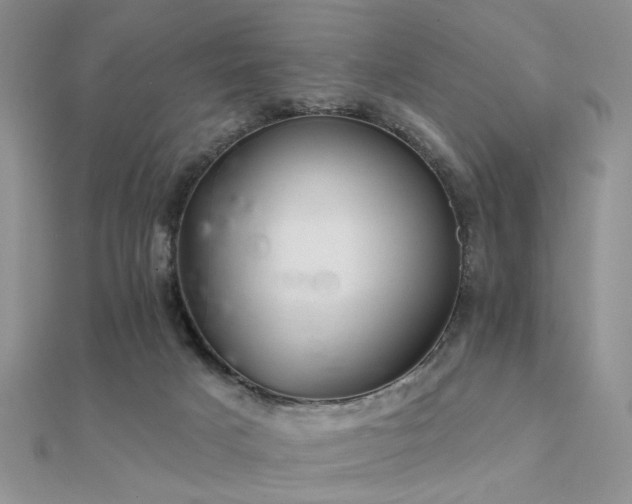 X0000112030025200908101349