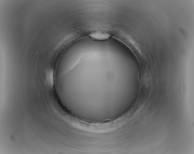 X0000112030027200908101349