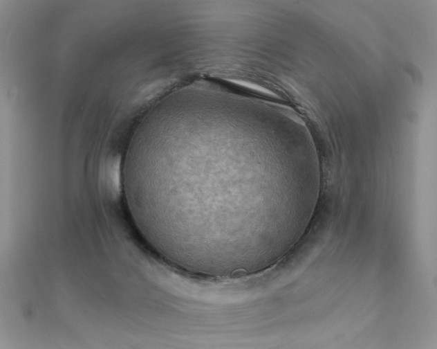X0000112030028200908101349