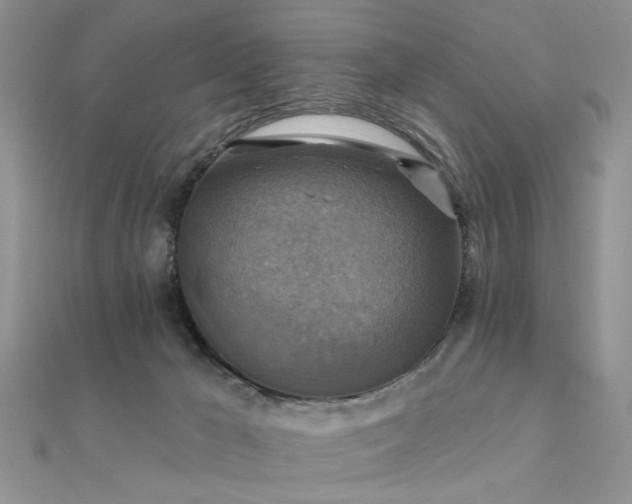 X0000112030029200908101349