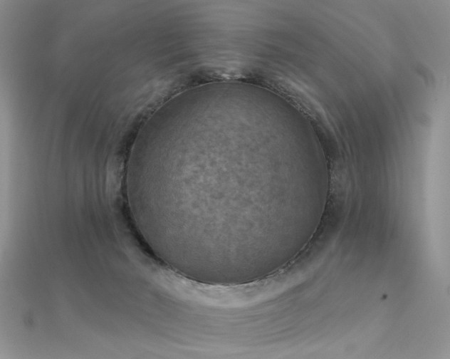 X0000112030030200908101349