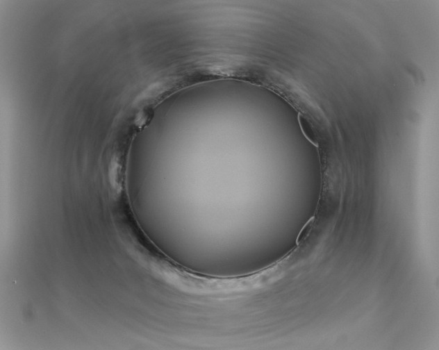 X0000112030031200908101349