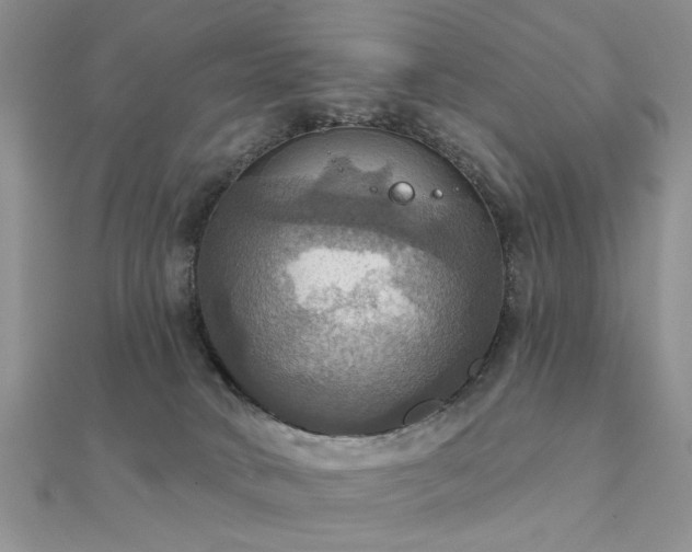 X0000112030034200908101349