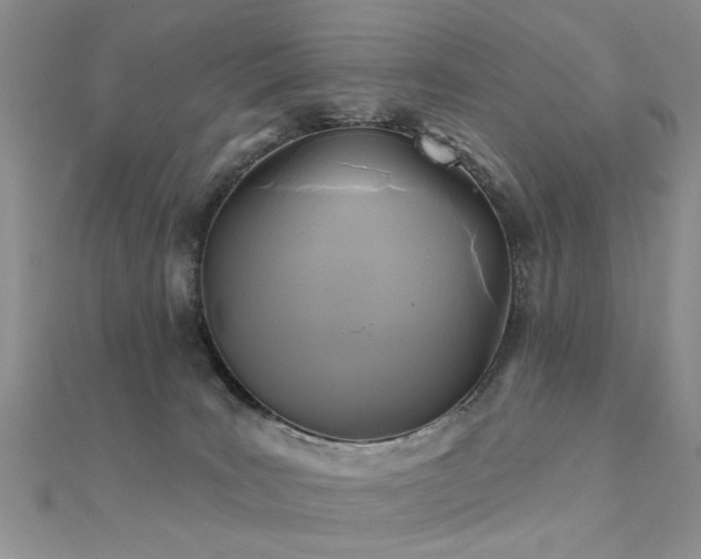 X0000112030035200908101348