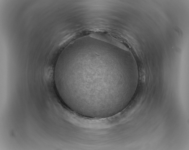 X0000112030036200908101348