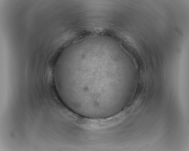 X0000112030037200908101348