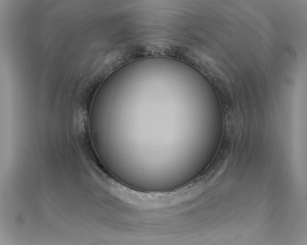 X0000112030038200908101348