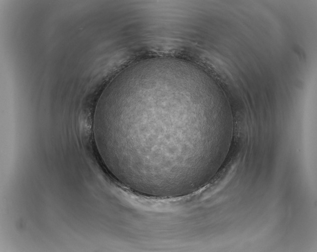 X0000112030040200908101348