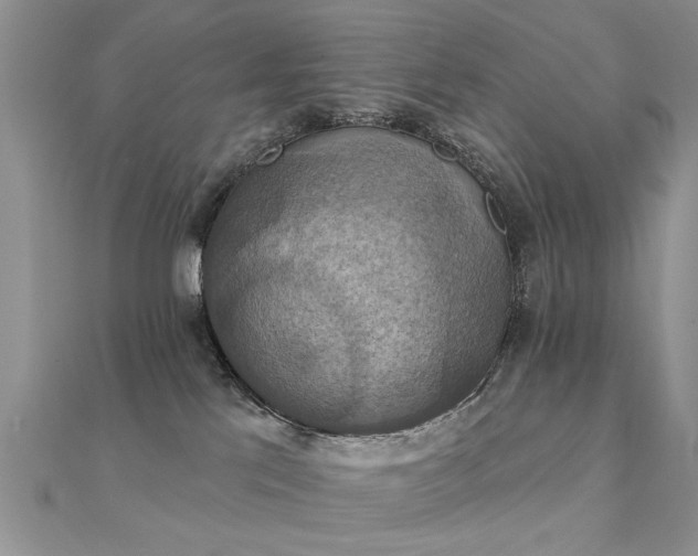 X0000112030041200908101348