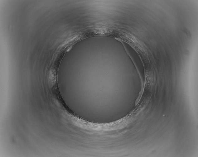 X0000112030043200908101348