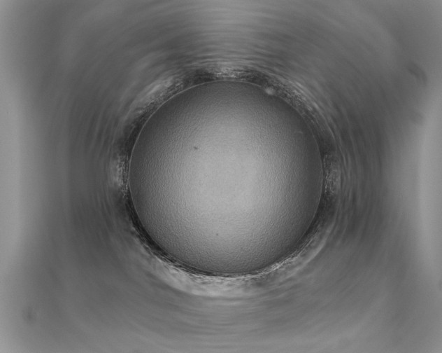 X0000112030044200908101348