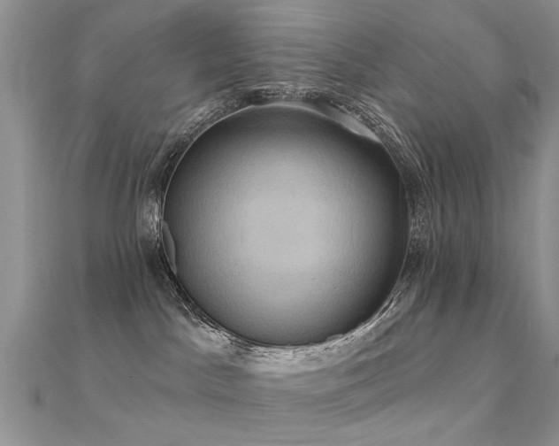 X0000112030045200908101348