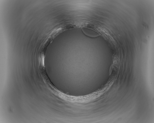 X0000112030046200908101348