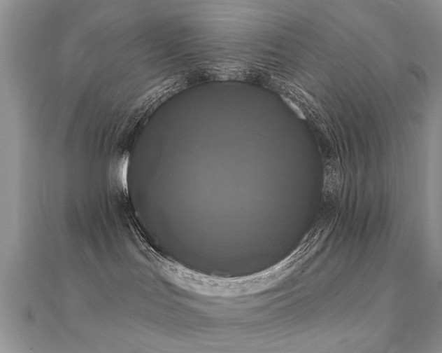 X0000112030047200908101348