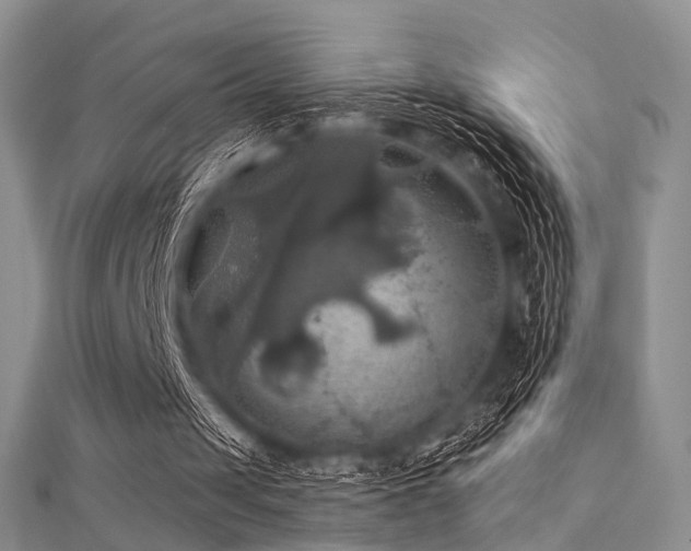 X0000112030049200908101348