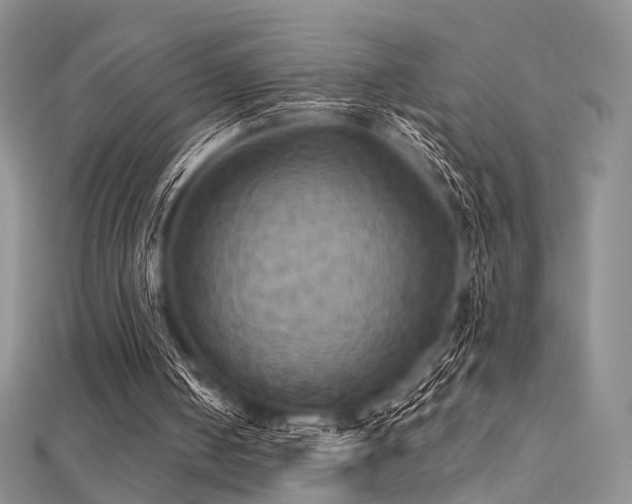 X0000112030050200908101348