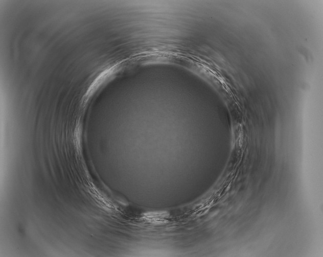 X0000112030051200908101348