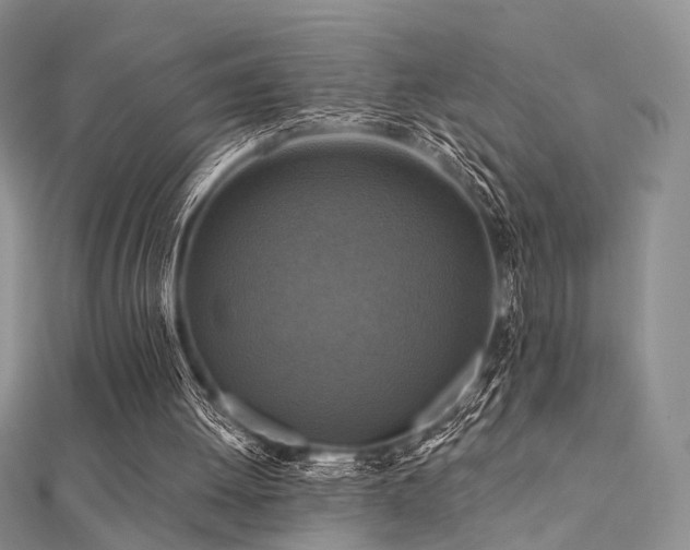 X0000112030052200908101348