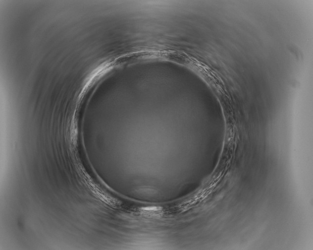 X0000112030053200908101348