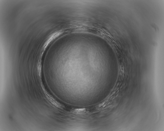X0000112030054200908101348