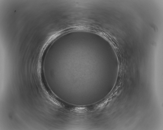 X0000112030055200908101348