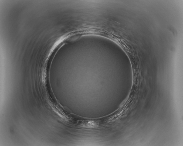 X0000112030056200908101348