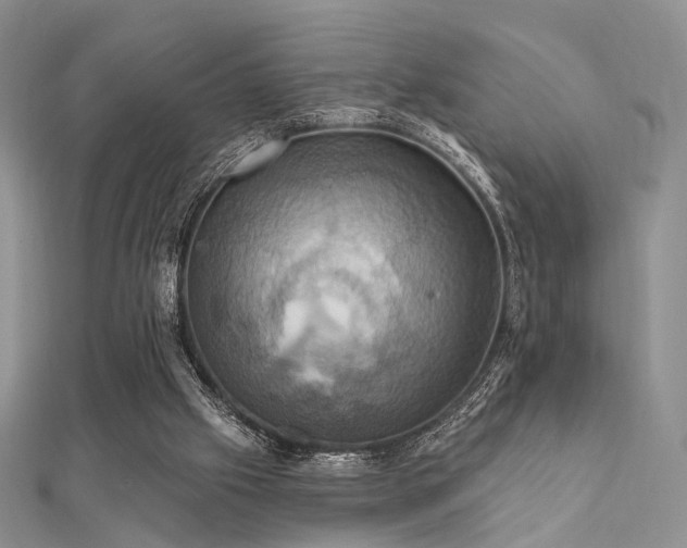 X0000112030057200908101348