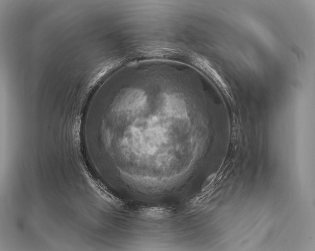 X0000112030058200908101348