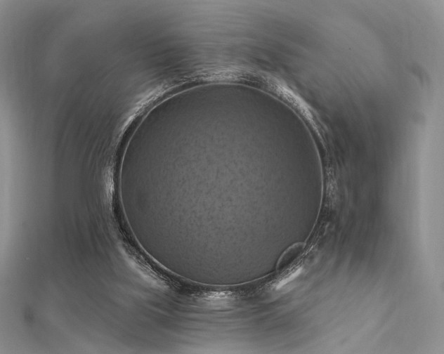 X0000112030059200908101348