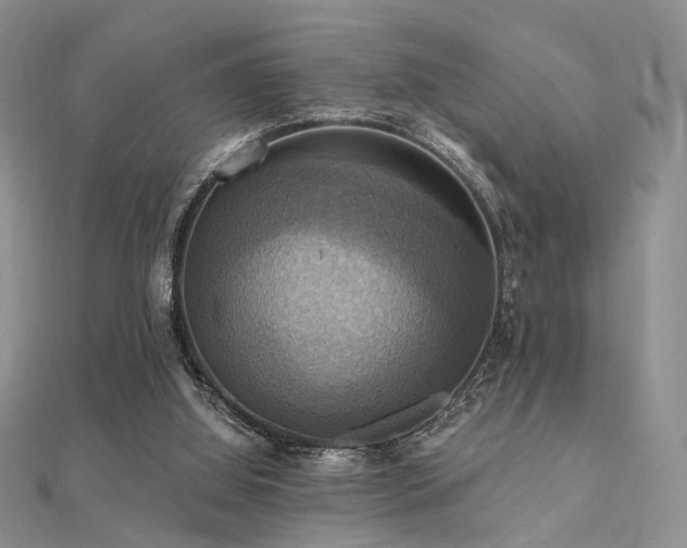 X0000112030060200908101348