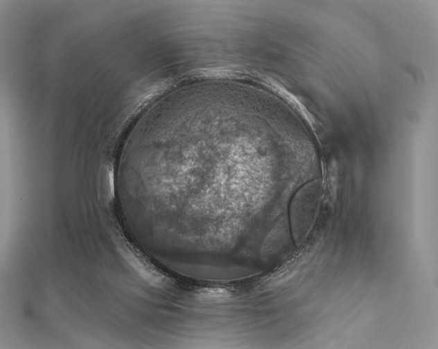 X0000112030061200908101348