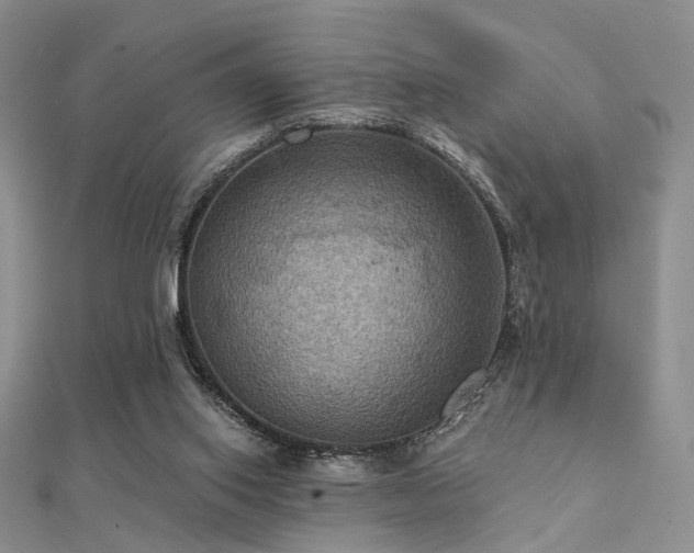 X0000112030062200908101348