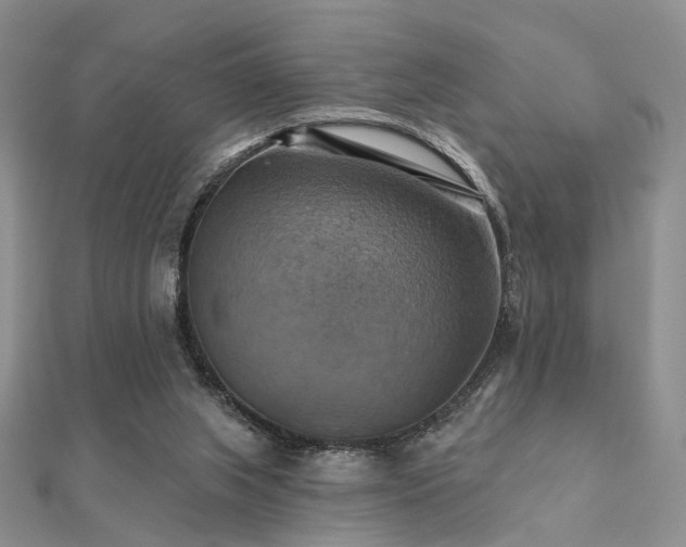 X0000112030063200908101348
