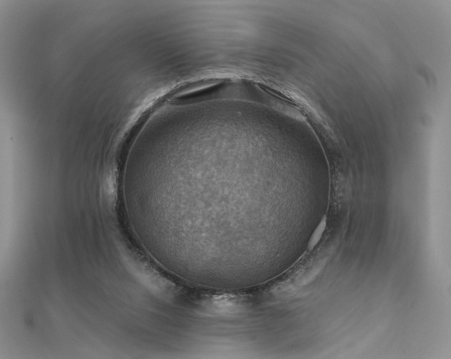 X0000112030064200908101348