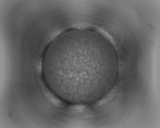 X0000112030065200908101348