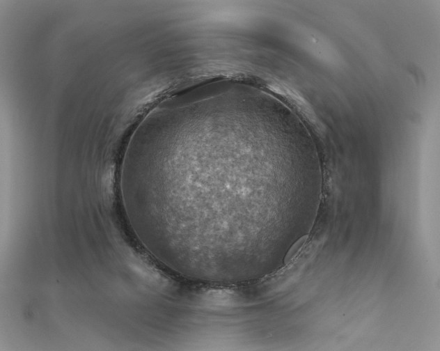 X0000112030066200908101348
