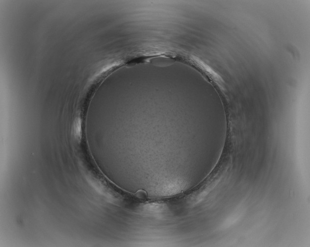 X0000112030067200908101348