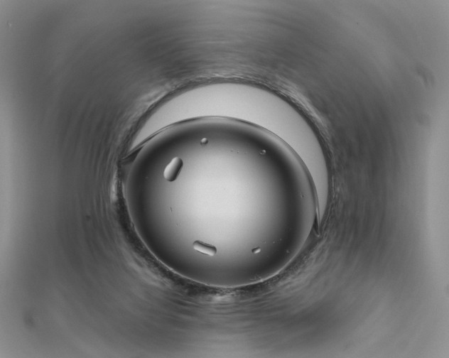 X0000112030068200908101348