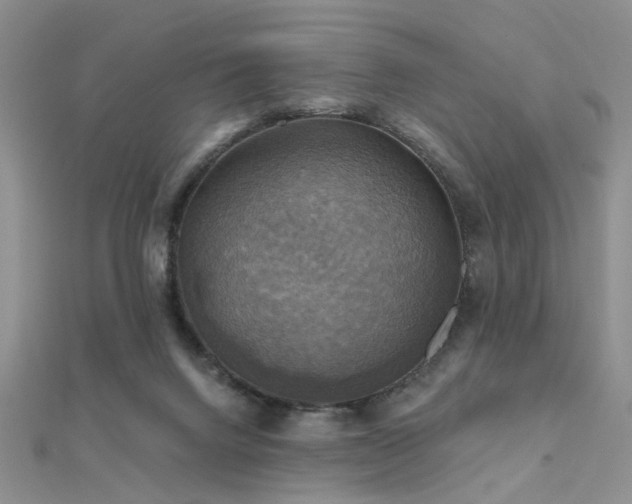 X0000112030072200908101348