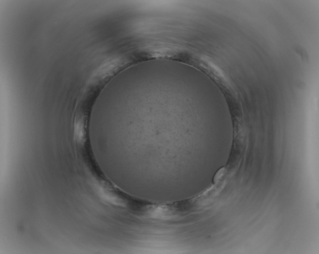 X0000112030074200908101348