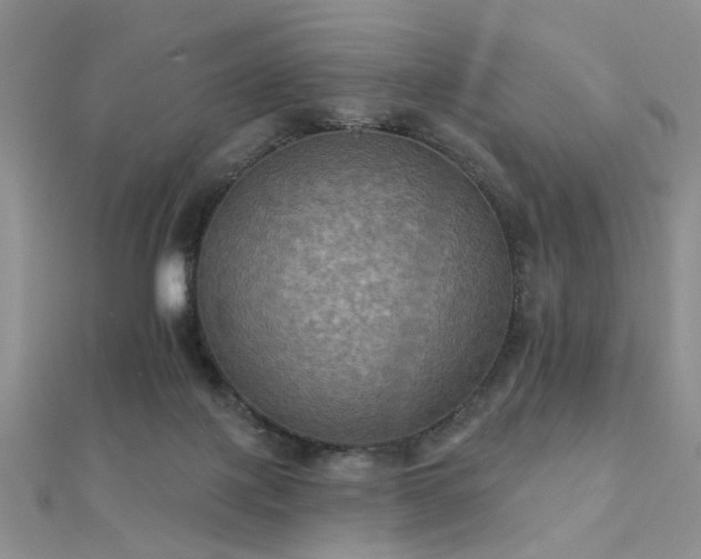 X0000112030075200908101348