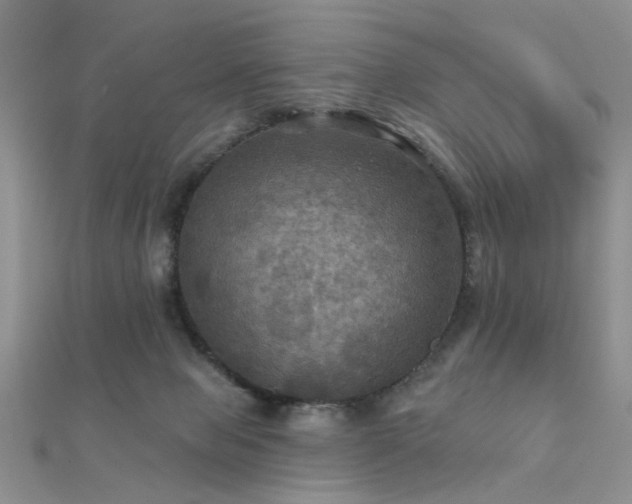 X0000112030077200908101348