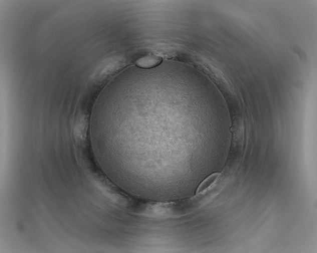X0000112030078200908101348