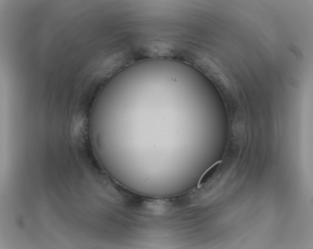 X0000112030079200908101348