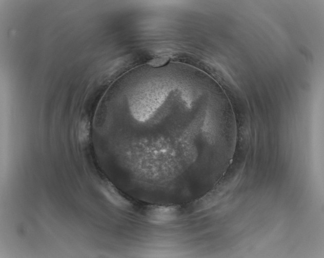 X0000112030081200908101348