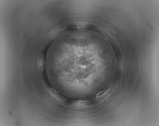 X0000112030082200908101348