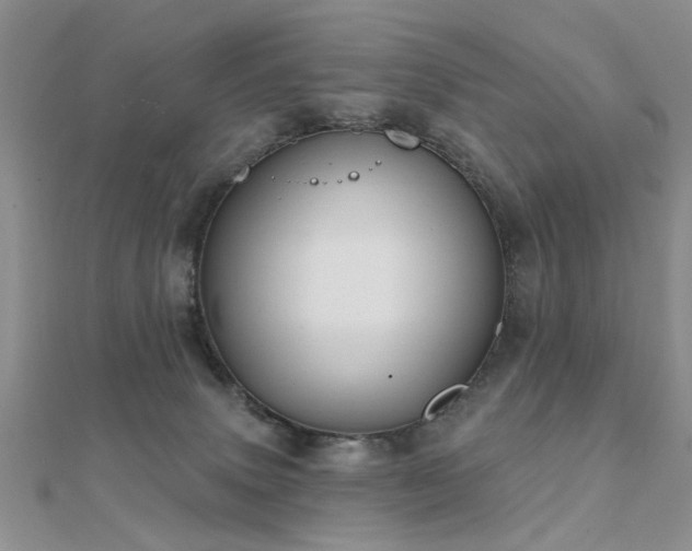 X0000112030083200908101348