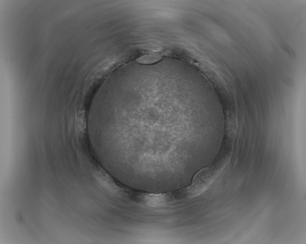 X0000112030085200908101348
